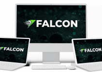 Falcon Review: AI Magic For WhatsApp Traffic, Leads, and Sales