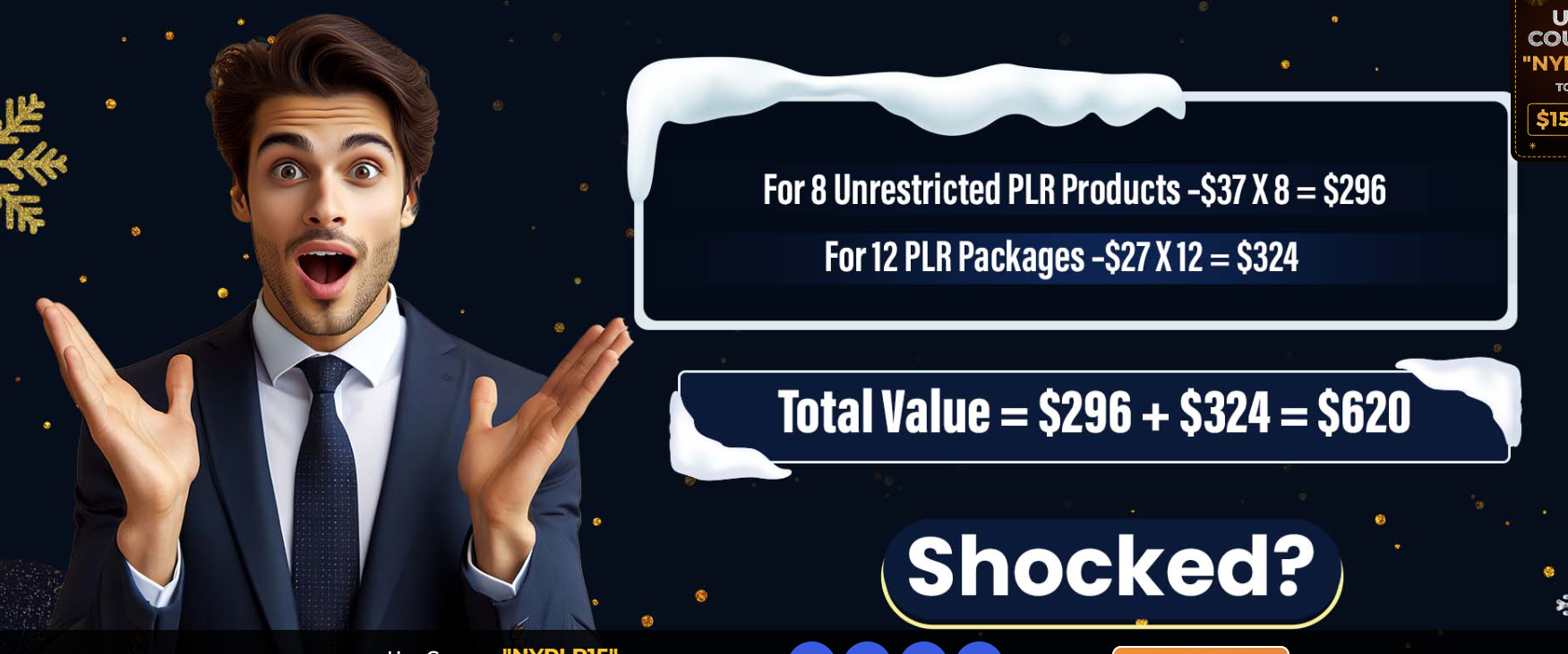 [PLR] Year end PLR Firesale Review with my special bonuses