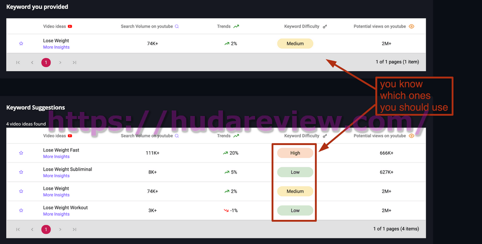 ai-tubemonetizer-how-to-use-4-use