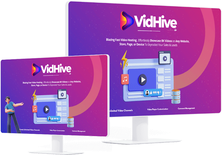 vidhive-review