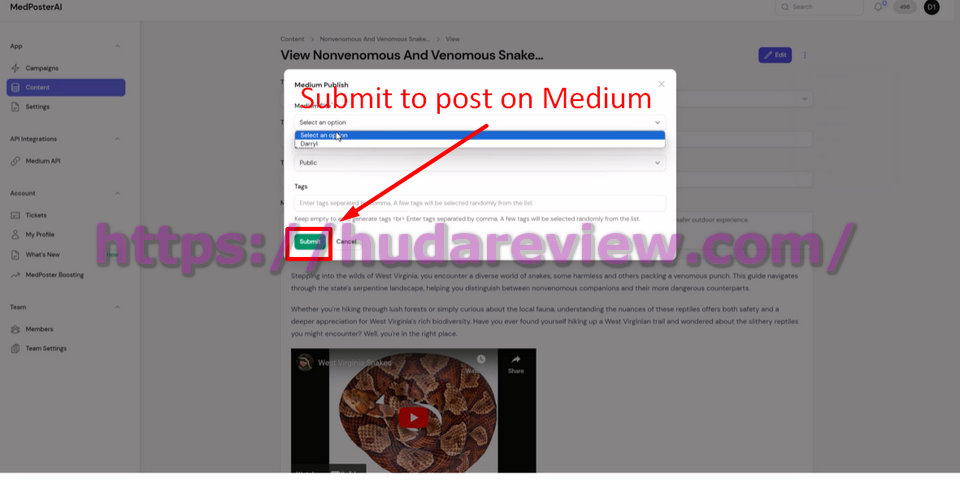 medposter-ai-how-to-use-12-submit