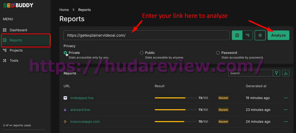 seobuddy-how-to-use-2-analyze