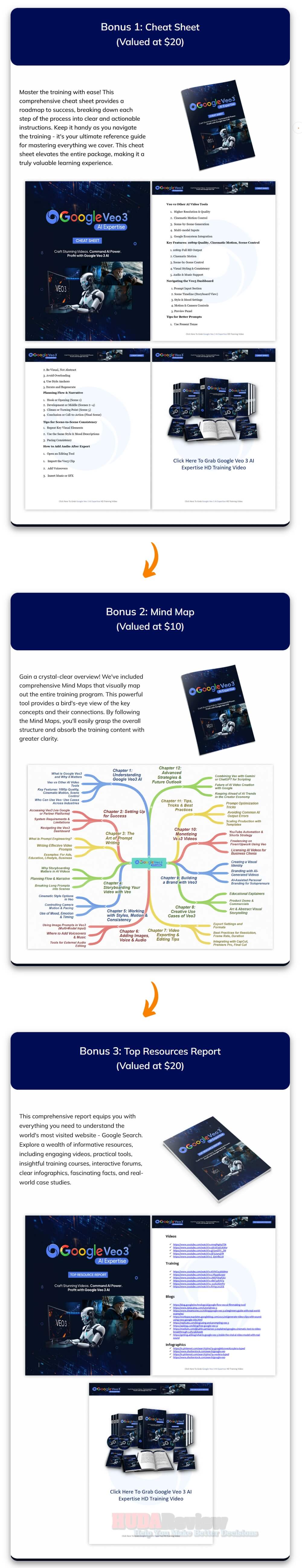 Google Veo 3 Expertise with PLR Review - A DFY Business!