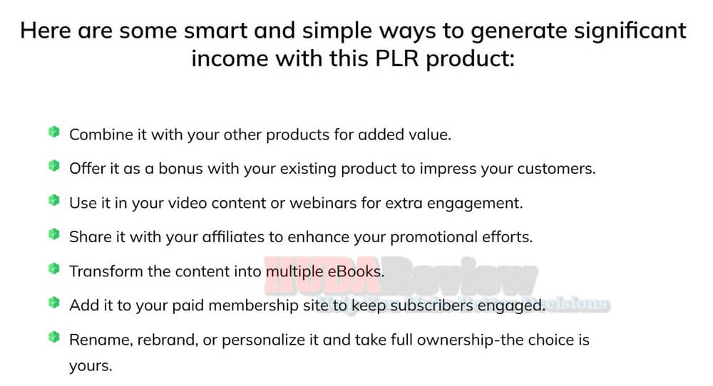 Google Veo 3 Expertise with PLR Review - A DFY Business!
