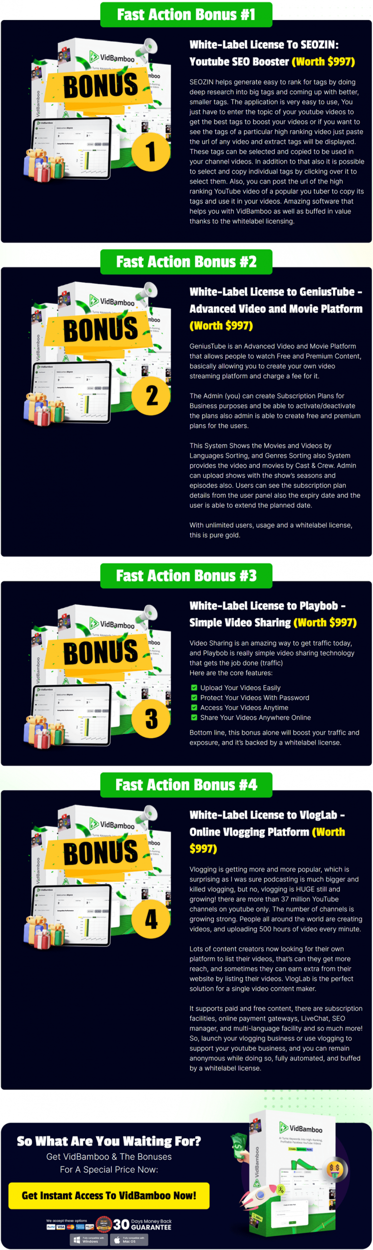 vidbamboo-review-bonuses