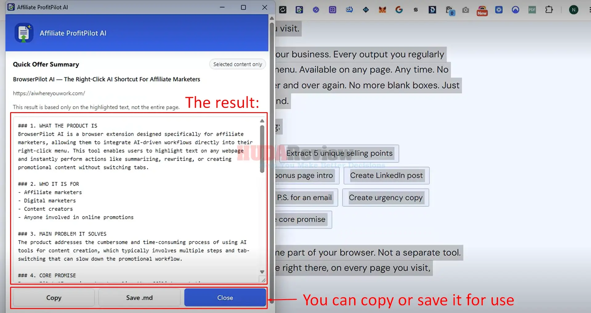 Affiliate-Profitpilot-Demo-2-copy