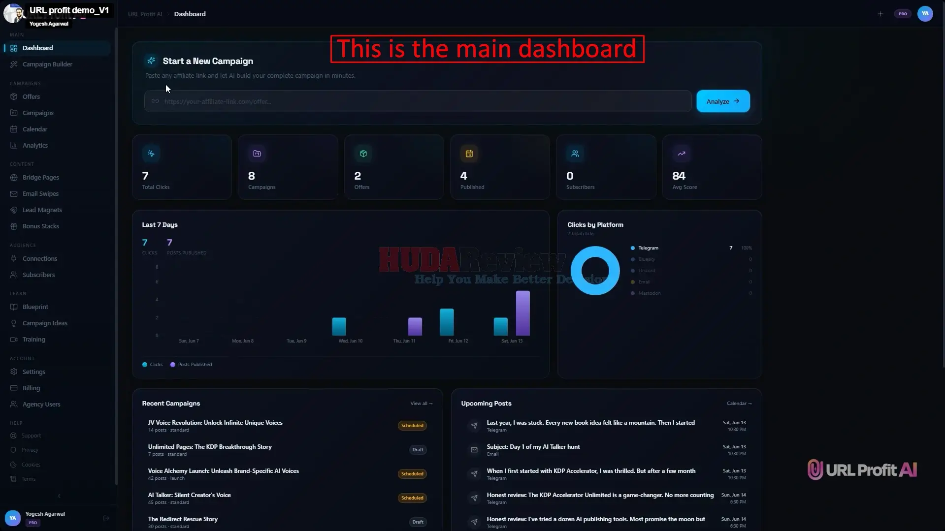 URL-Profit-AI-Demo-1-dashboard