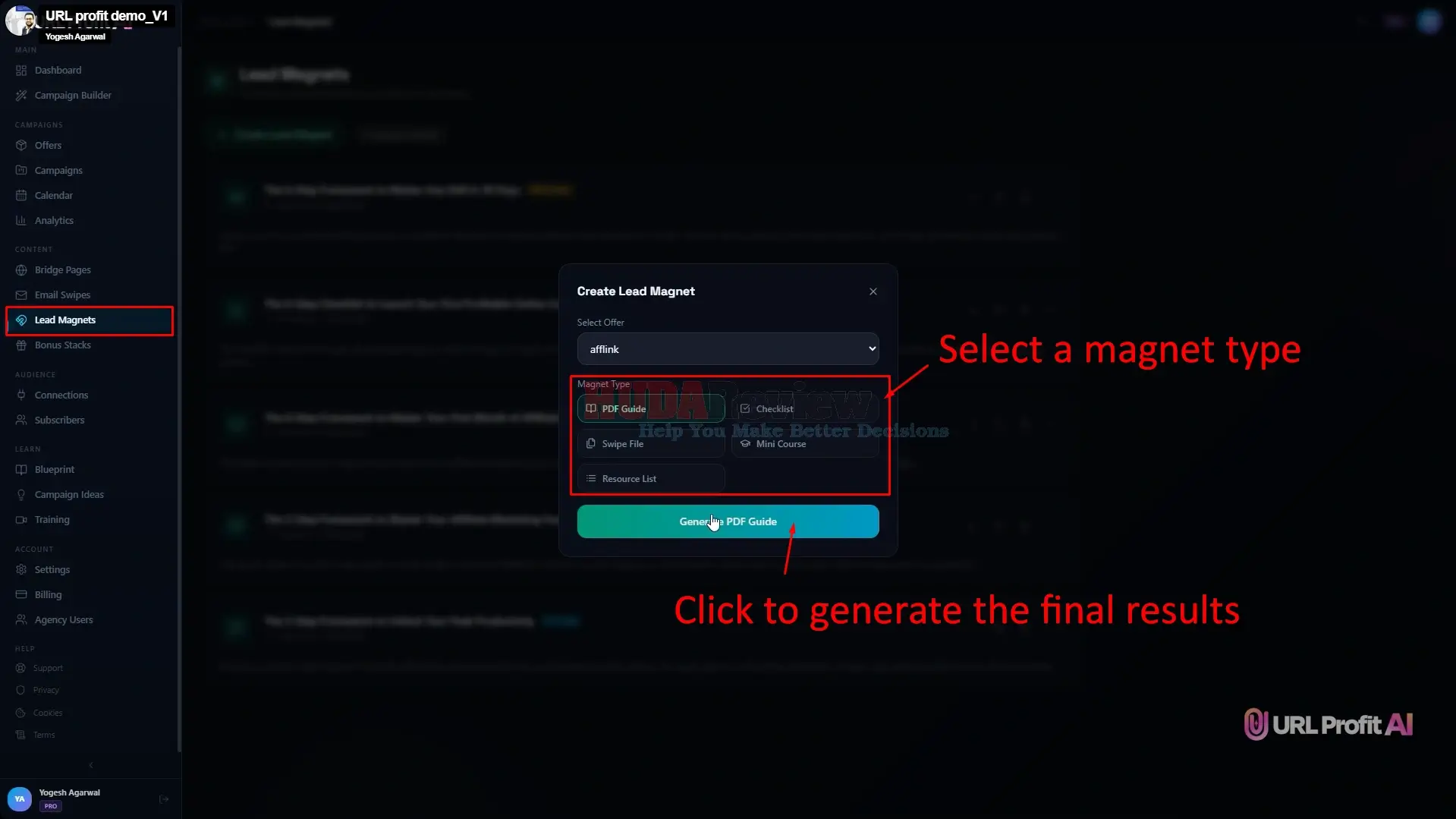 URL-Profit-AI-Demo-13-lead