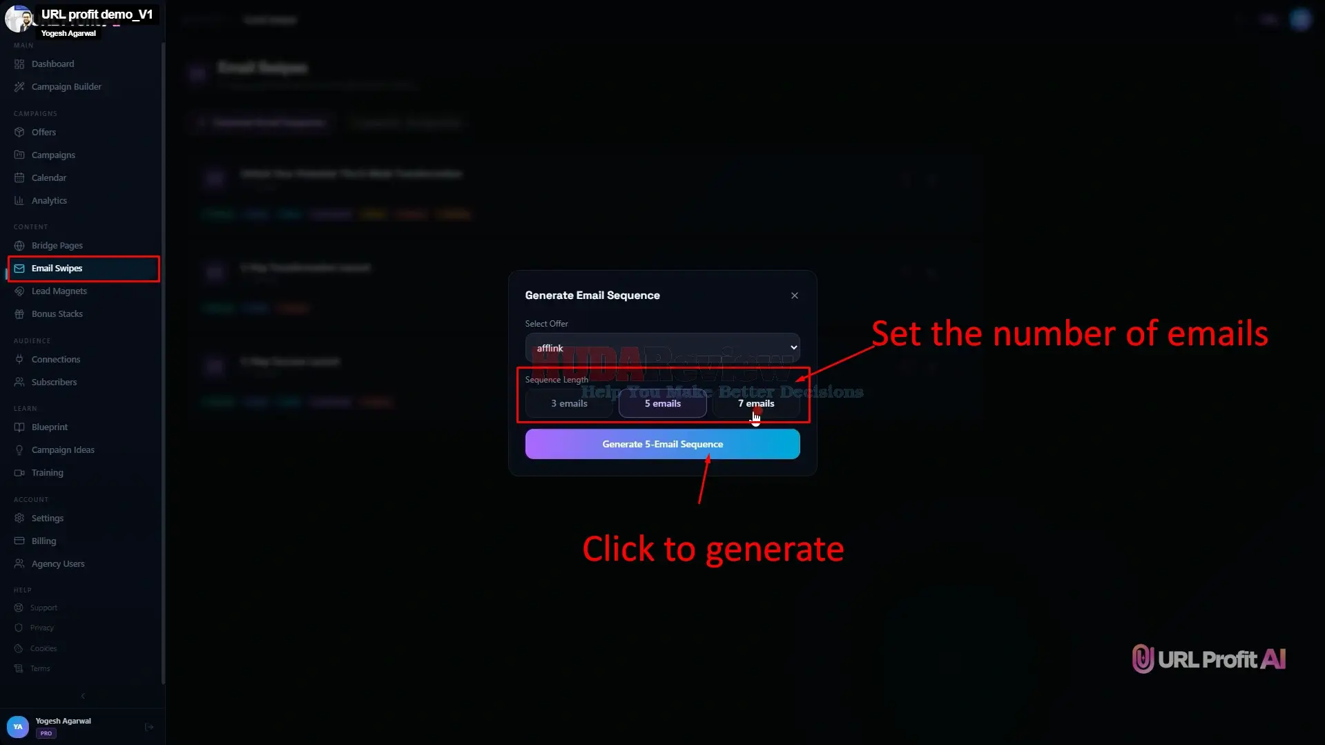 URL-Profit-AI-Demo-15-email
