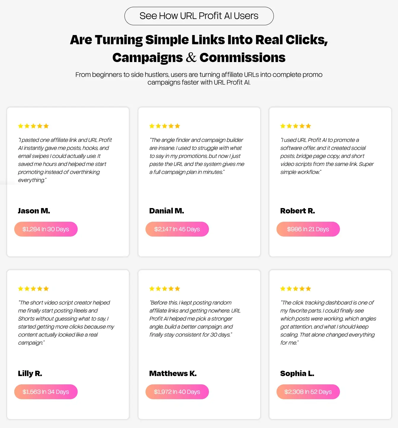 URL-Profit-AI-Feedback