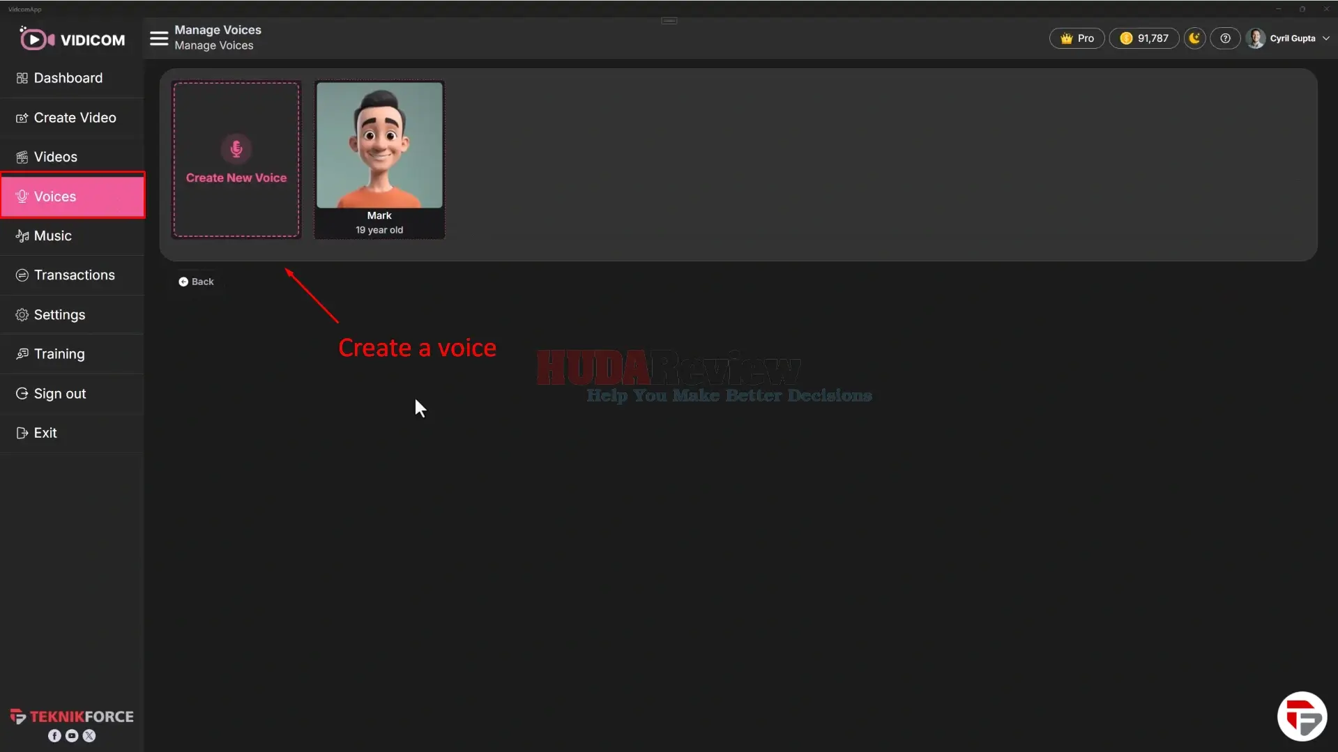 Vidicom-Demo-13-voice