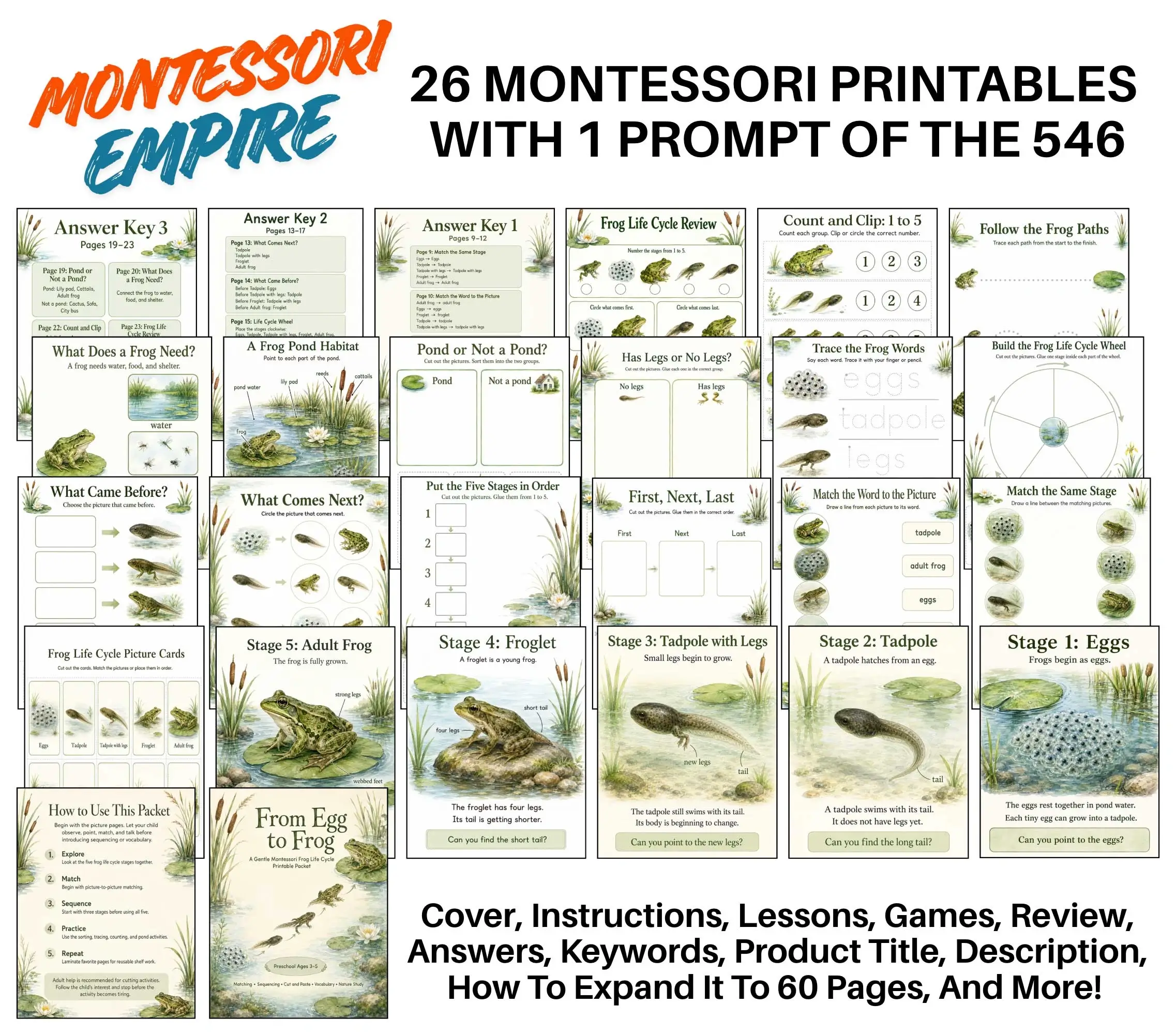 Montessori-Empire-Intro