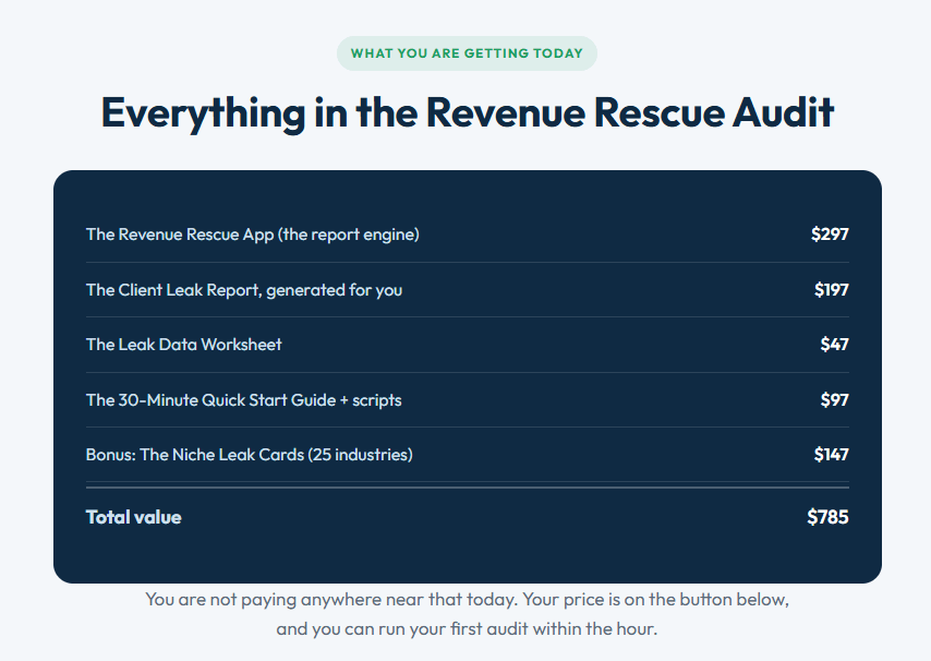 Revenue-Rescue-Audit-Review-Recap