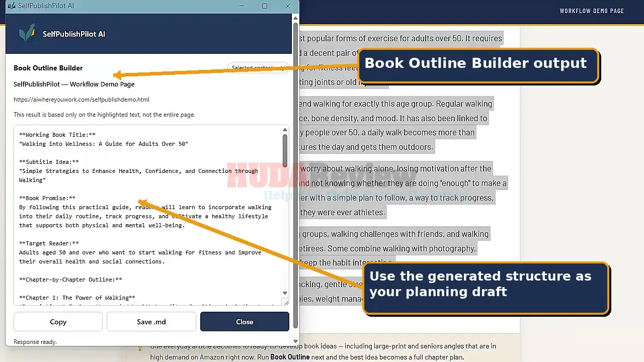 Self-Publish-Pilot-Demo-4-outline