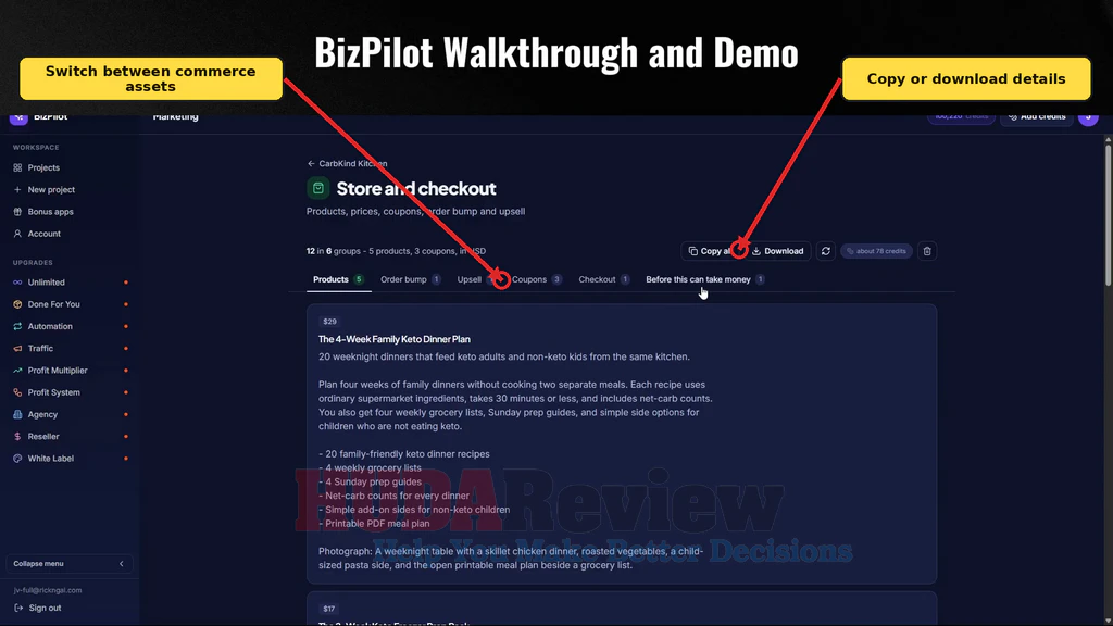 BizPilot-demo-17-Checkout