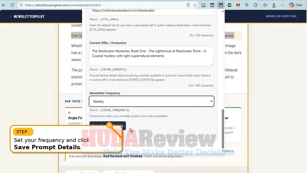 Newsletter-Pilot-demo-7-Save