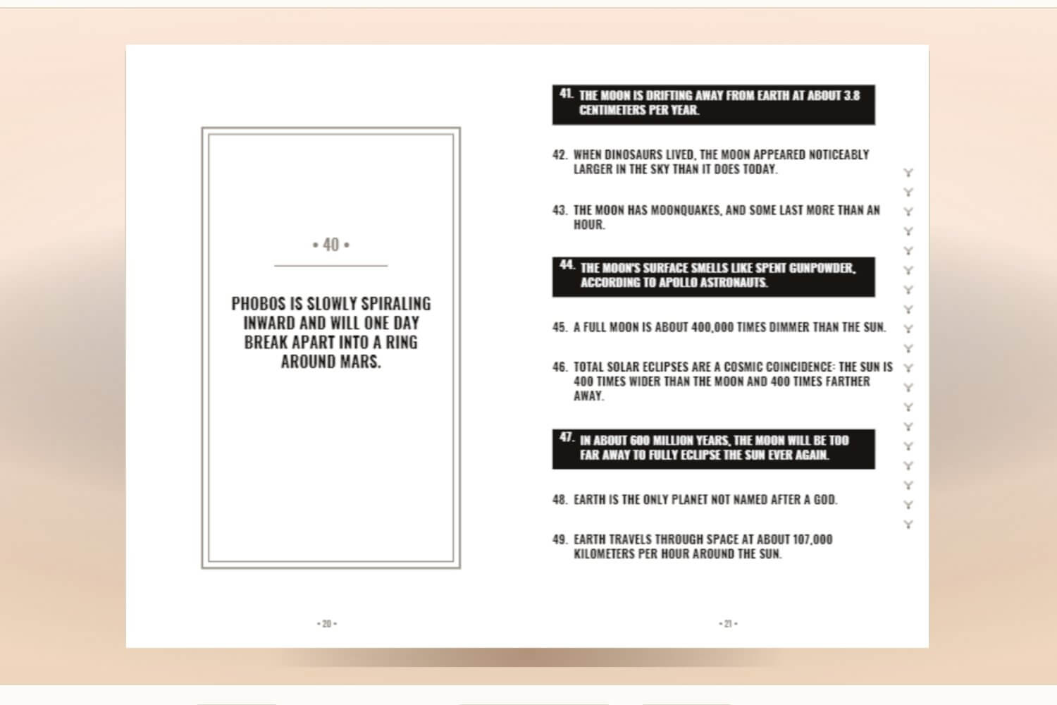 fact-book-studio-step-2