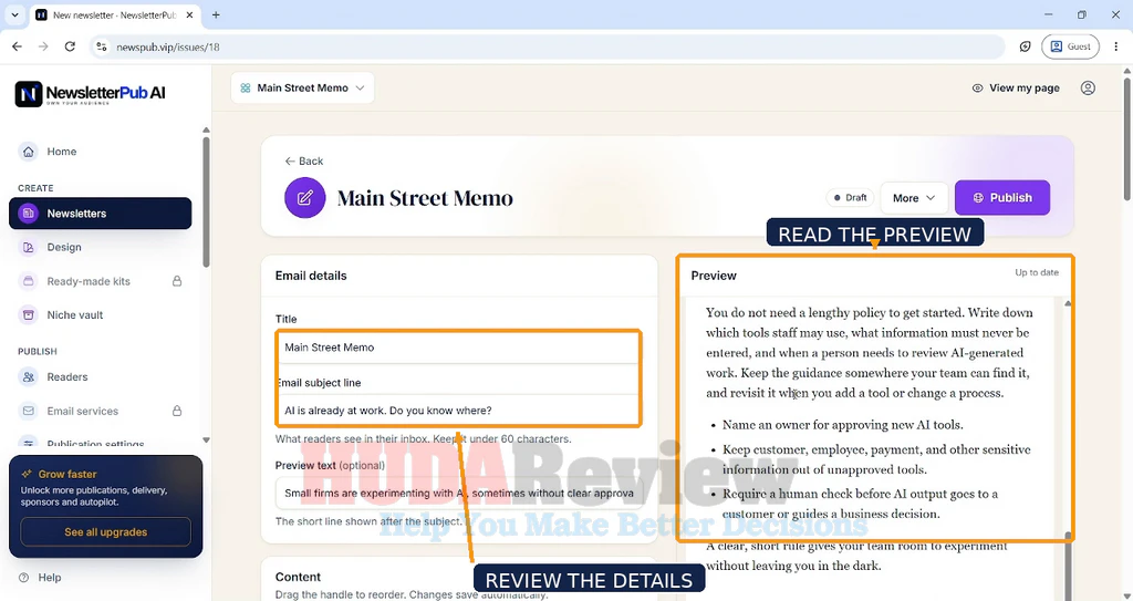 NewsletterPub-AI-demo-7-Review
